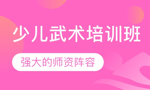 少儿武术培训班