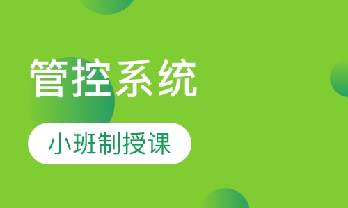 财会金领管控系统