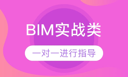 BIM实战类