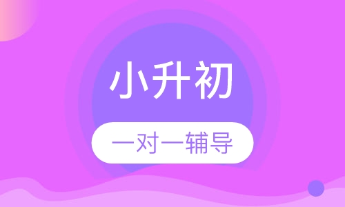 小升初一对一辅导