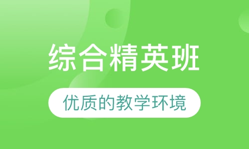 综合精英班（笔试 面试）
