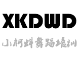 杭州小柯科艺术培训