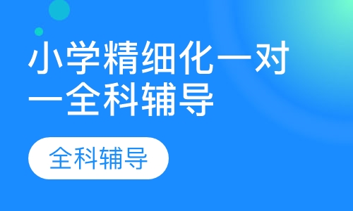小学精细化一对一全科辅导