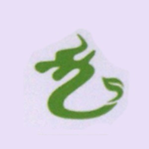 深圳龙行跆拳道培训