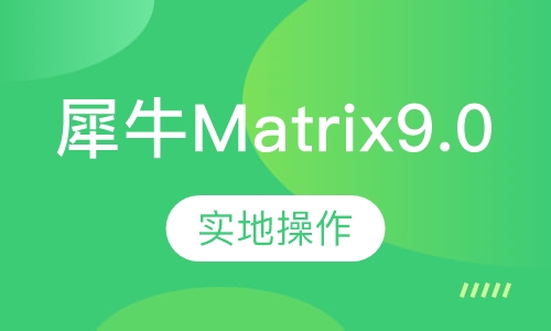 犀牛Matrix9.0珠宝3D课程
