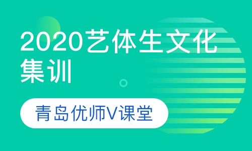 录播课+直播课2020艺体生文化集训