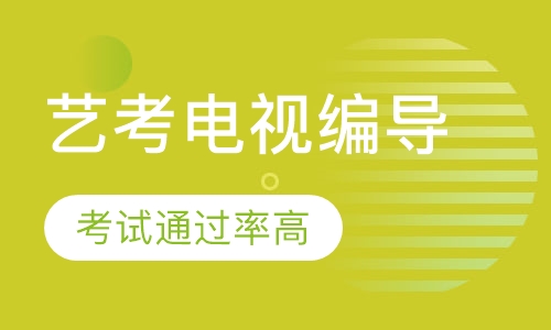 艺考电视编导培训