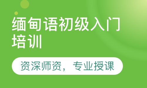 缅甸语初级入门培训