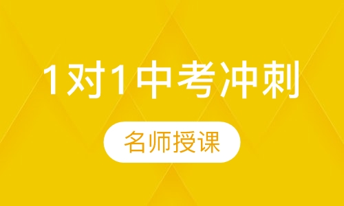 1对1中考冲刺特训营