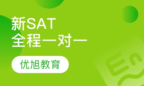 新SAT全封闭全程一对一