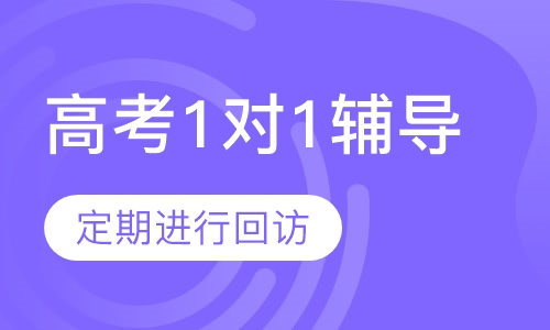 高考1对1个性化辅导