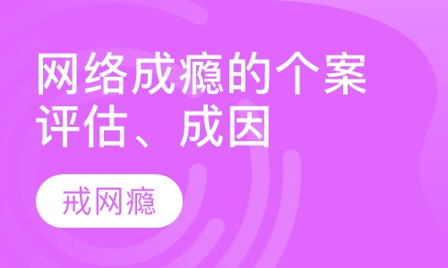 网络成瘾的个案评估、成因分析及高效干预法