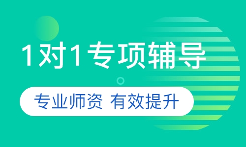 99元 一对一专项辅导课程包
