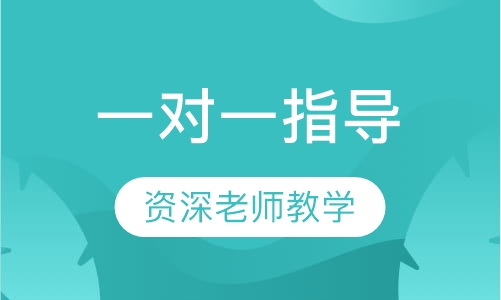 一对一指导