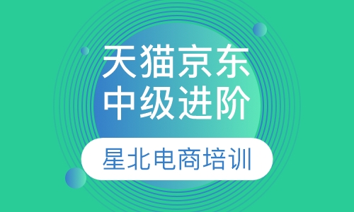 天猫京东中级进阶