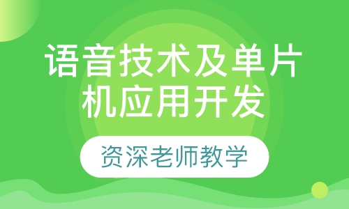 语音技术及单片机应用开发