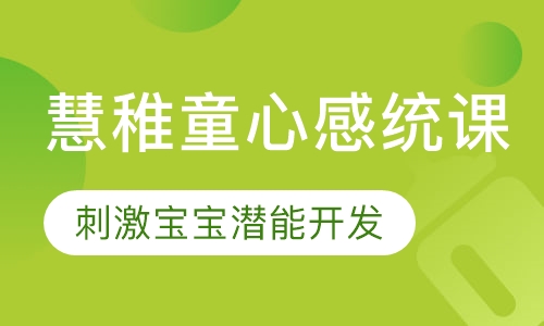 慧稚童心感统课