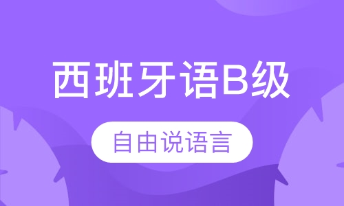 西班牙语B级