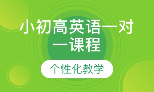 小初高英语一对一课程