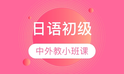 日语初级中外教小班课