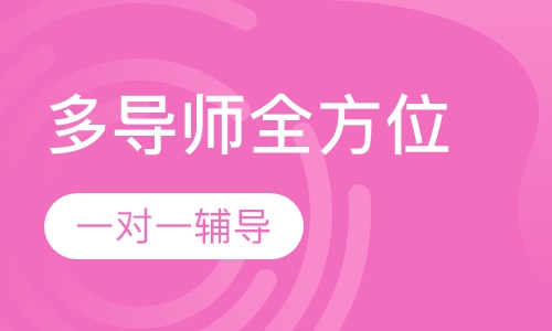 Dyad多导师全方位辅导课程