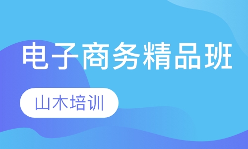 电子商务精品班