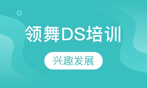 领舞DS培训