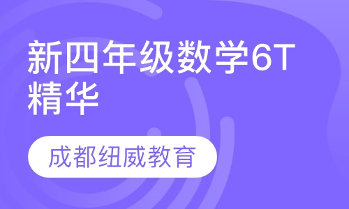 新四年级数学6T精华班