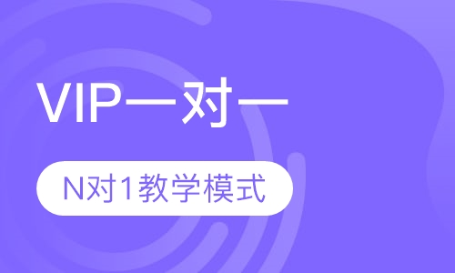VIP一对一