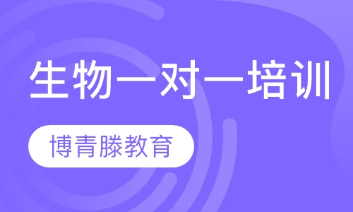 生物一对一培训