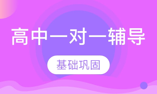 高中1对1辅导
