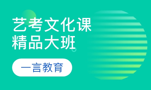 艺考生文化课辅导精品大班