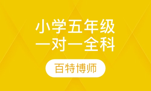小学五年级一对一全科辅导