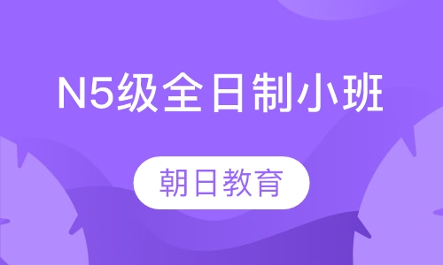 N5级全日制精品小班