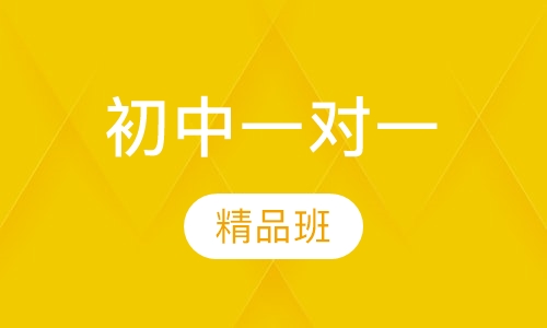 初中一对一精英班