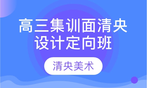 高三集训面授清央设计定向班