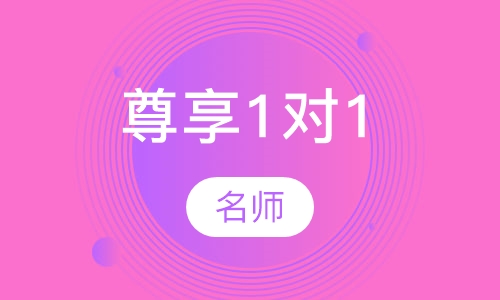 雅思尊享1对1