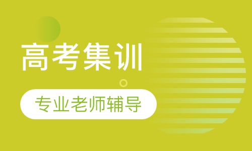 高考集训VIP班