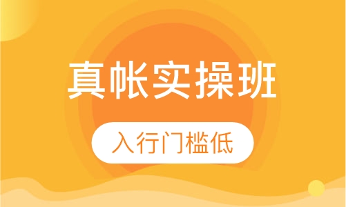 财务会计真账实操