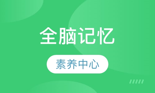 全脑记忆