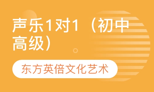 声乐1对1（初级，中级，高级）