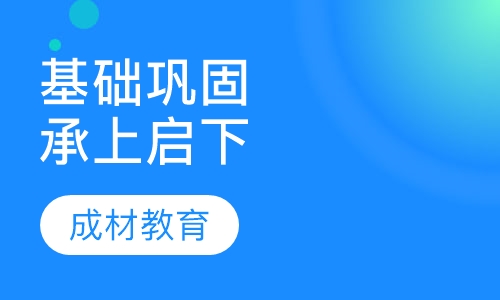 初二/高二基础巩固/承上启下特训