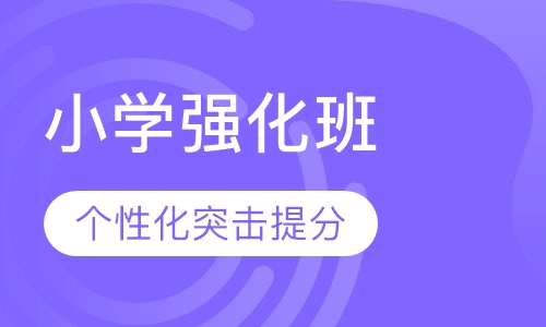 小学强化班