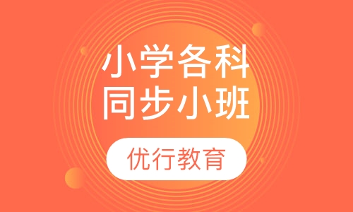 小学各科同步辅导课程小班