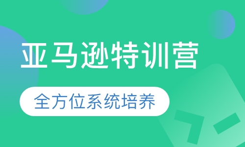 亚马逊特训营