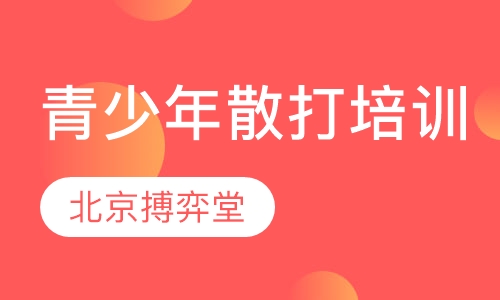 青少年散打培训