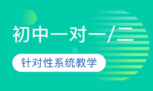 初中一对一/一对二