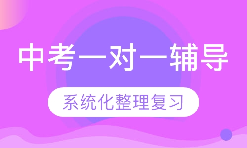 中考一对一辅导