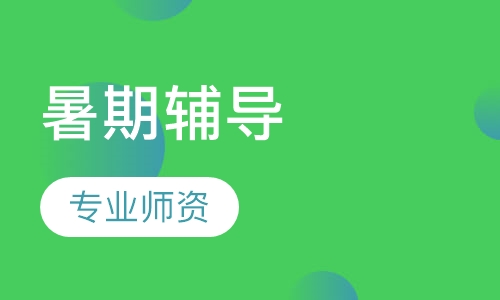 暑期辅导