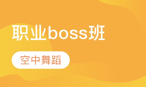 职业boss班